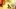 propolis - Foto: fotolia