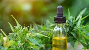 CBD-Öl: Was kann das neue Wundermittel gegen Falten und Akne? - Foto: iStock / Tinnakorn Jorruang