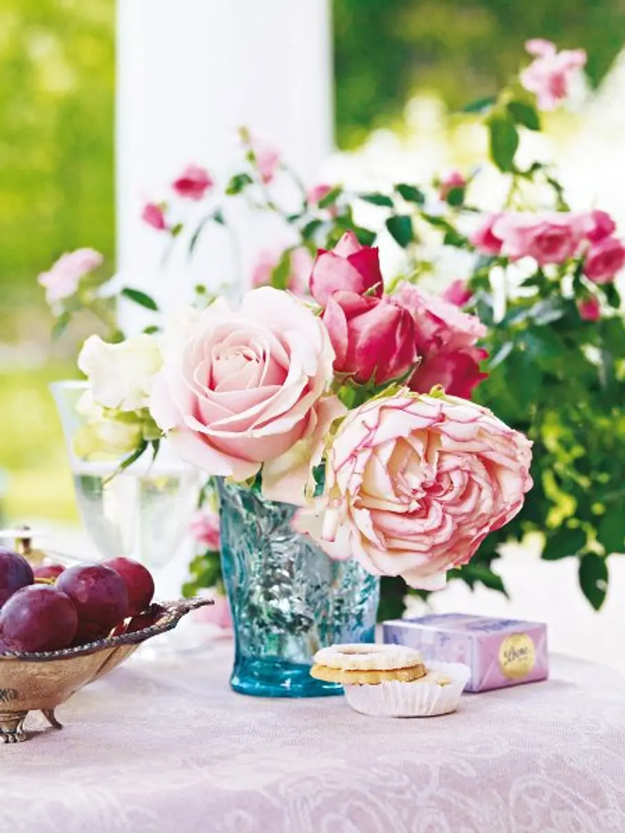 Betört durch Rosen rosen fuenf