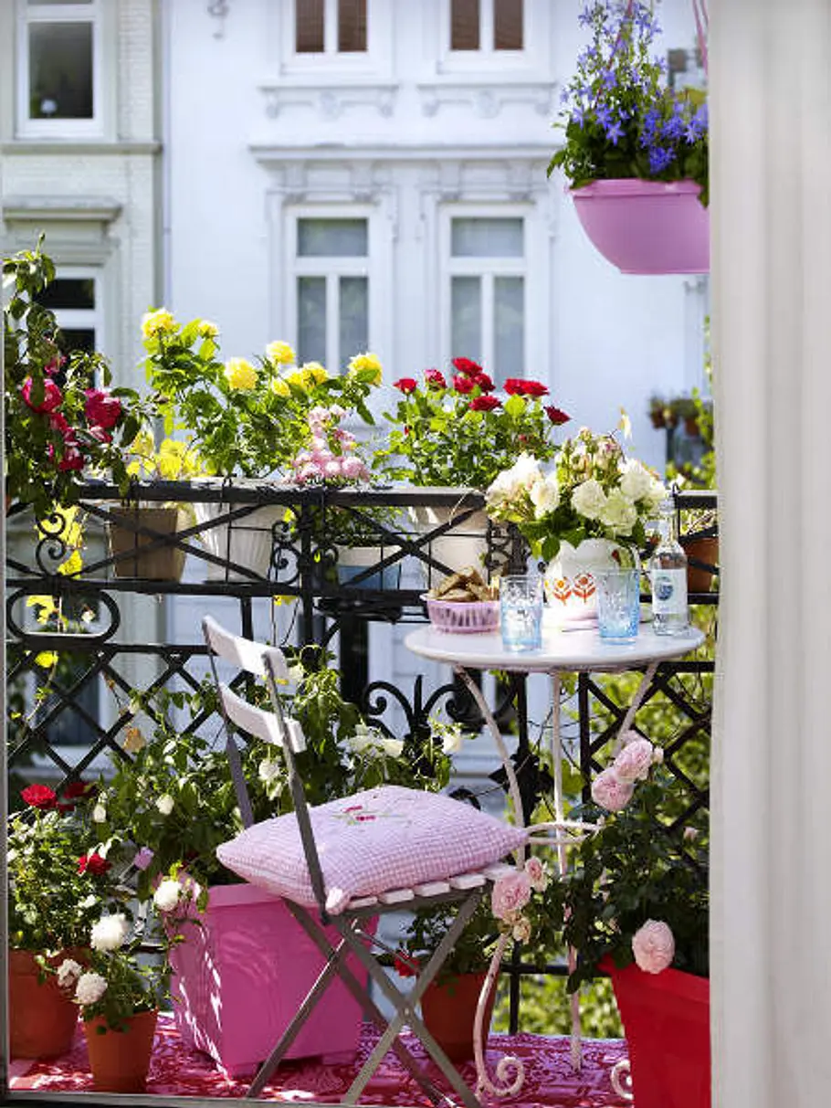 Betört durch Rosen rosen