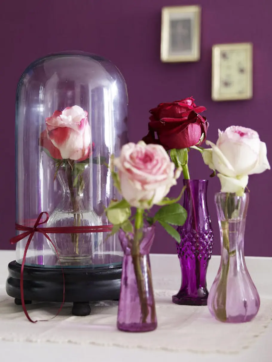 Betört durch Rosen rosen