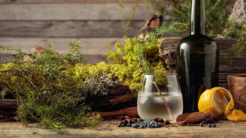 Gin Tonic mit Flasche, Rosmarin und Zitrone - Foto: igorr1/iStock