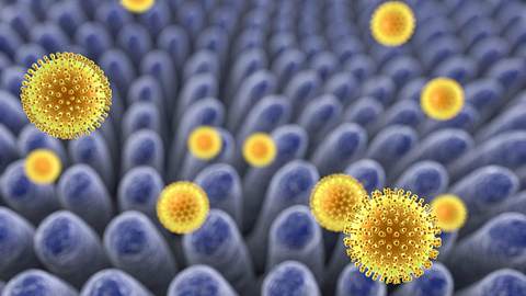 Das Rotavirus verursacht Brechdurchfall-Symptome, es gibt aber eine Impfung - Foto: Dr_Microbe/iStock
