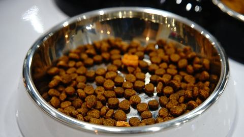 Rückruf Pedigree und Chappi: Hundefutter kann deinem Hund schaden - Foto: iStock/Supersmario/Symboldbild