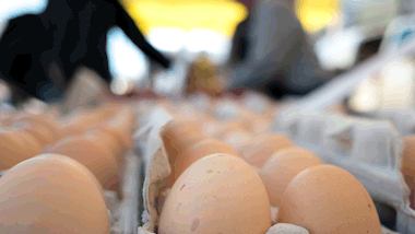 In den Eiern von Lidl, Aldi Süd und Kaufland wurden Salmonellen nachgewiesen. - Foto: iStock
