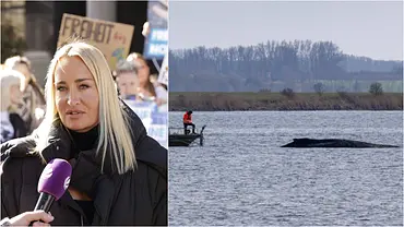 Collage: Links Sarah Conner mit Mikro vor dem Körper, rechts Timmy im Wasser. - Foto: IMAGO / APress / Marc Stinger Collage: Links Sarah Conner mit Mikro vor dem Körper, rechts Timmy im Wasser. - Foto: IMAGO / APress / Marc Stinger