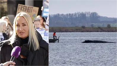 Collage: Links Sarah Conner mit Mikro vor dem Körper, rechts Timmy im Wasser. - Foto: IMAGO / APress / Marc Stinger