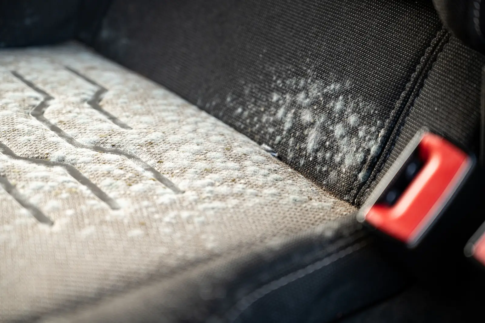 Wie kann ich Feuchtigkeit im Auto entfernen? ⋆ Auto-Blog aus