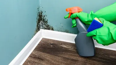 Eine vom Schimmel befallene Wand wird mit Reiniger besprüht - Foto: iStock/Smitt