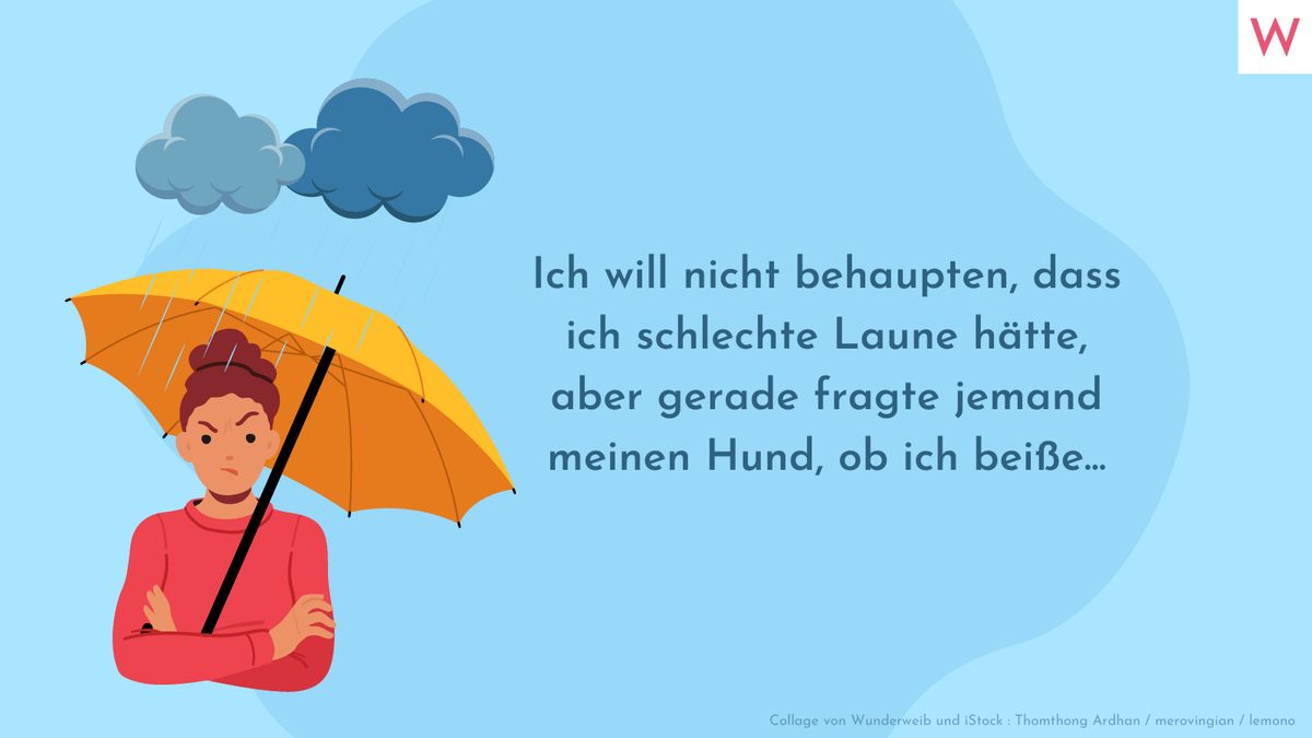 Ich will nicht behaupten, dass ich schlechte Laune hätte, aber gerade fragte jemand meinen Hund, ob ich beiße...