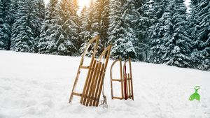 Schlitten kaufen - Foto: iStock/kamisoka