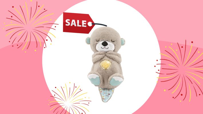 Schlummerotter Sale - Foto: Canva