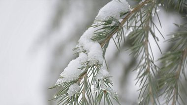 Schnee an Weihnachten? Das sagen die Wetter-Experten! - Foto: imago images / Imaginechina-Tuchong