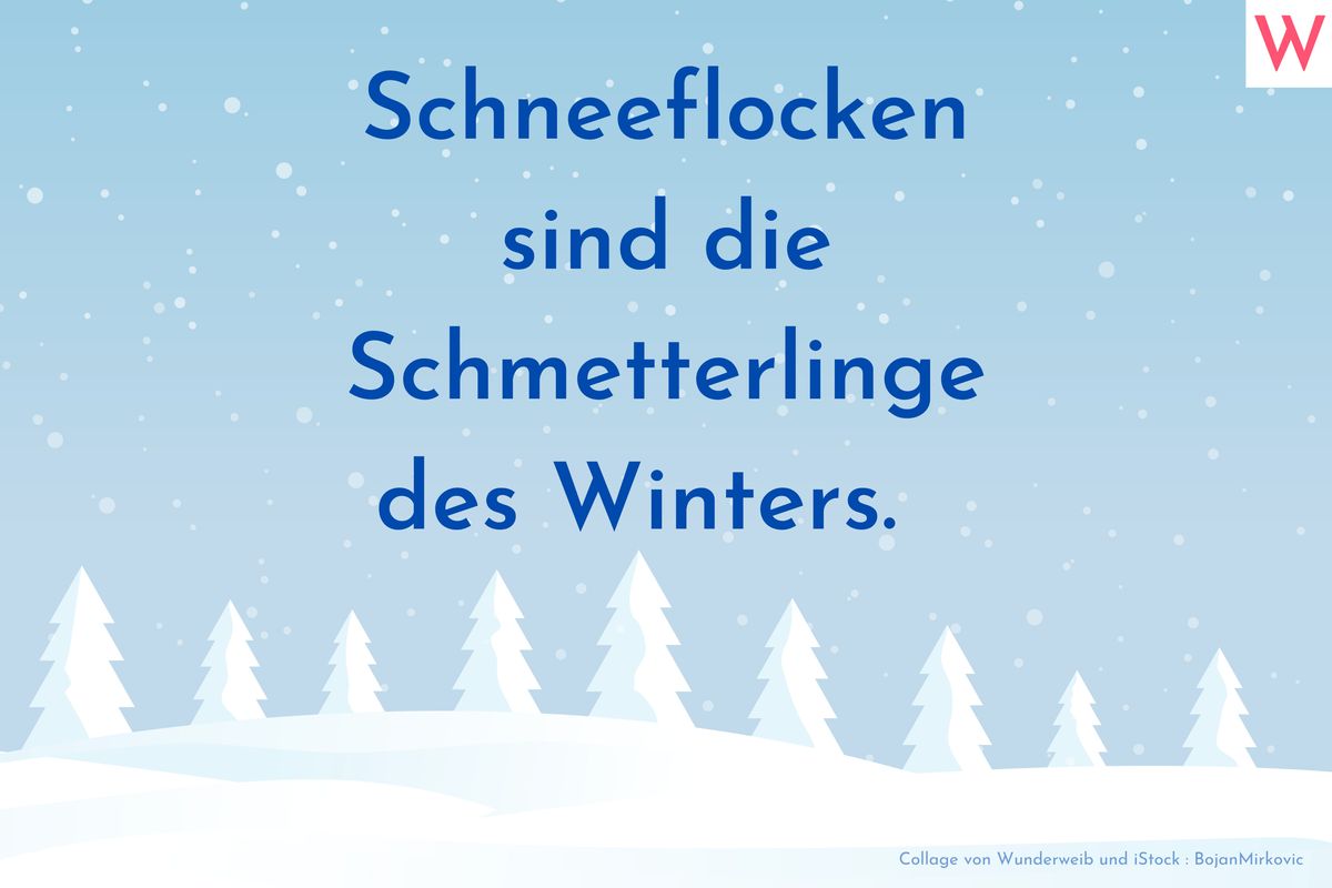 Schneeflocken sind die Schmetterlinge des Winters. 