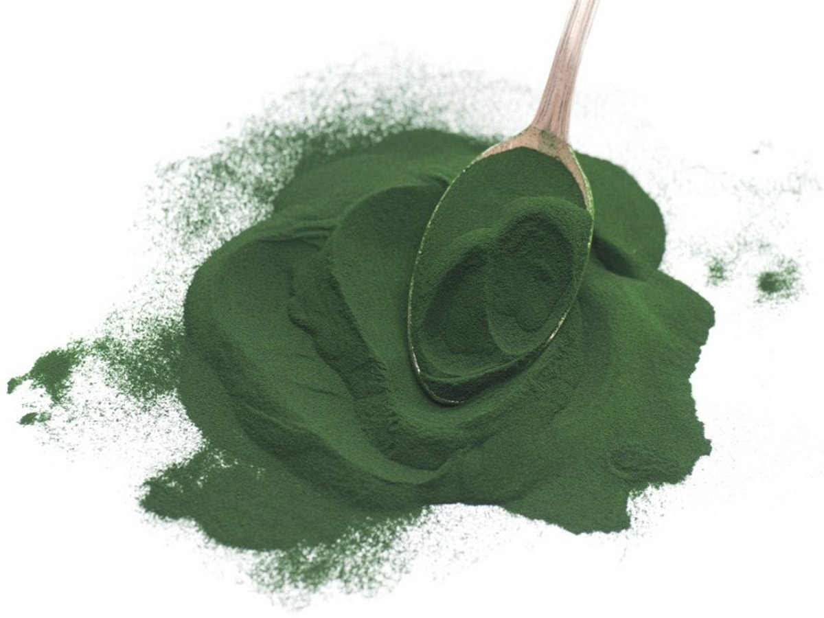 schoen von innen chlorella