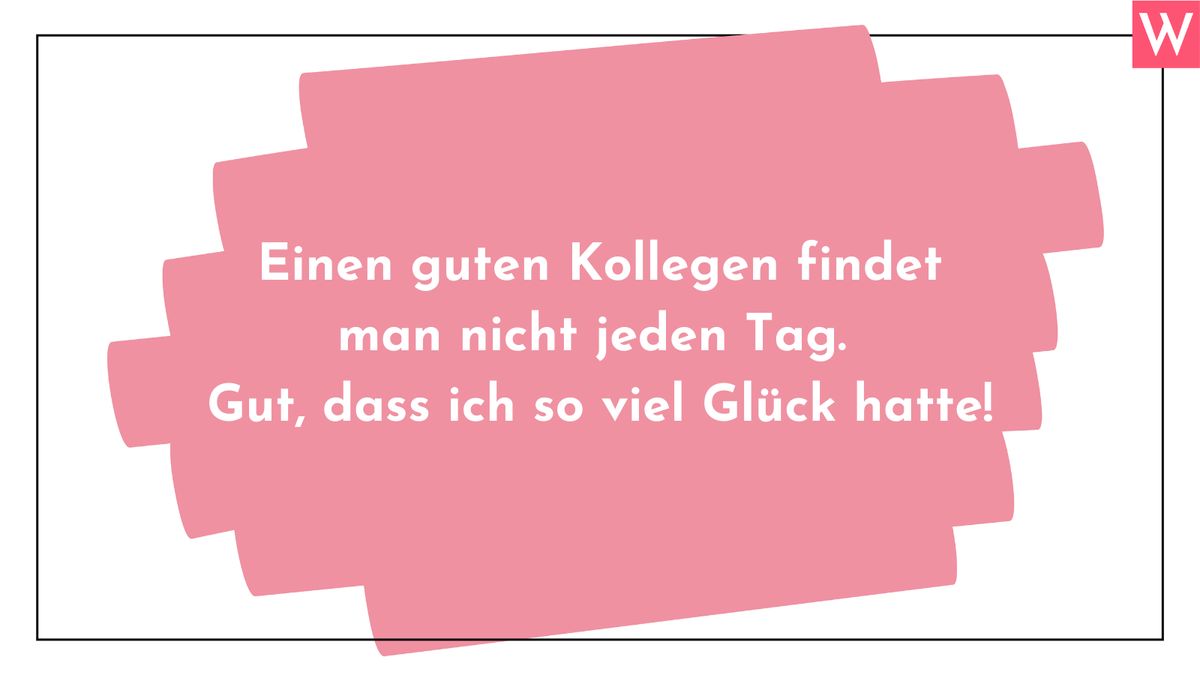 Einen guten Kollegen*eine gute Kollegin findet man nicht jeden Tag. Gut, dass ich so viel Glück hatte!