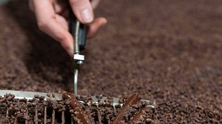 Symbolbild: Schokoladenhersteller aus Deutschland insolvent - Foto: IMAGO / Andia