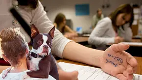 Weil sie in der Schule schummelte: Mutter verschenkt den Hund ihrer Tochter - Foto: Collage aus Andy Sacks/Getty Images & Rebecca Nelson/Getty Images Weil sie in der Schule schummelte: Mutter verschenkt den Hund ihrer Tochter - Foto: Collage aus Andy Sacks/Getty Images & Rebecca Nelson/Getty Images