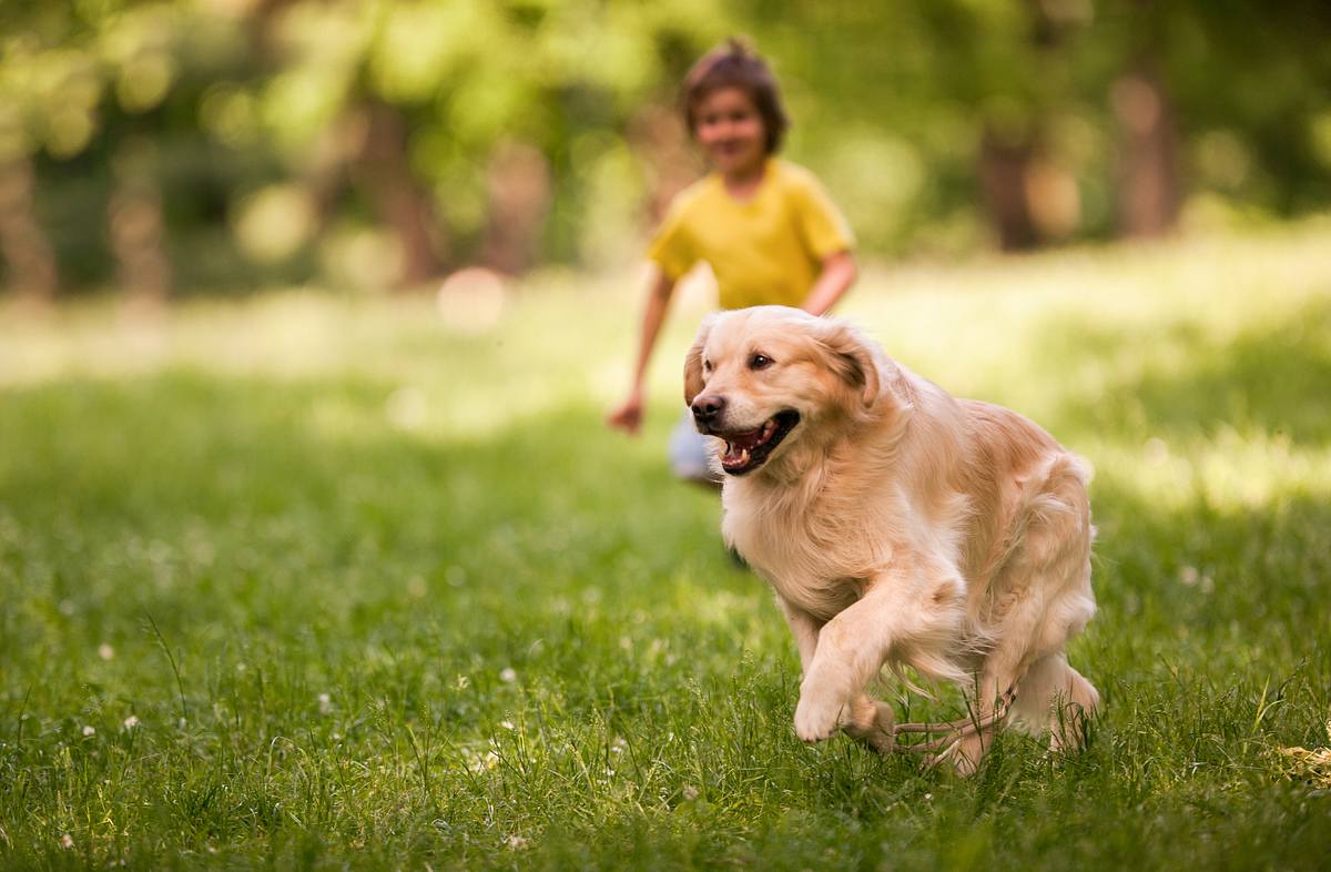Kind und Hund tollen durch den Garten.