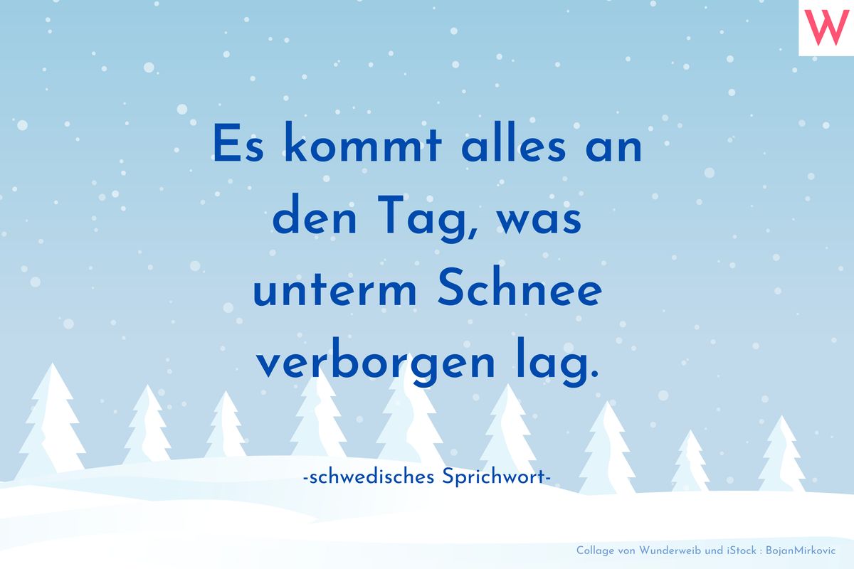 Es kommt alles an den Tag, was unterm Schnee verborgen lag. (Schwedisches Sprichwort)