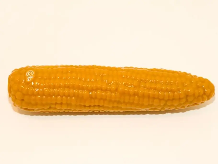 Vegetarischer Verführer! Direkt aus dem Garten der Lust wurde dieses Sexspielzeug für die Frau geerntet. Ein unbeschreibliches Gefühl, wenn sich Perlenreihe für Perlenreihe des Dildos im Intimbereich entlangverlustiert.( Mais, ca. 65 Euro, über www.sel sextoys frau