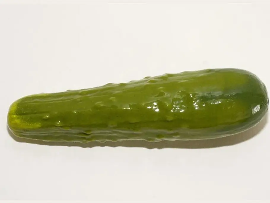 Geili Gurke! Dieses Sexspielzeug für die Frau ist mit kleinen Noppen bestückt und sorgt somit für eine unvergessliche Begegnung in feuchten Gebieten.( Gartengurke, ca. 65 Euro, über www.selfdelve.com ) Bettgeflüster: Was sagt er im Bett? Das verrä sextoys frau