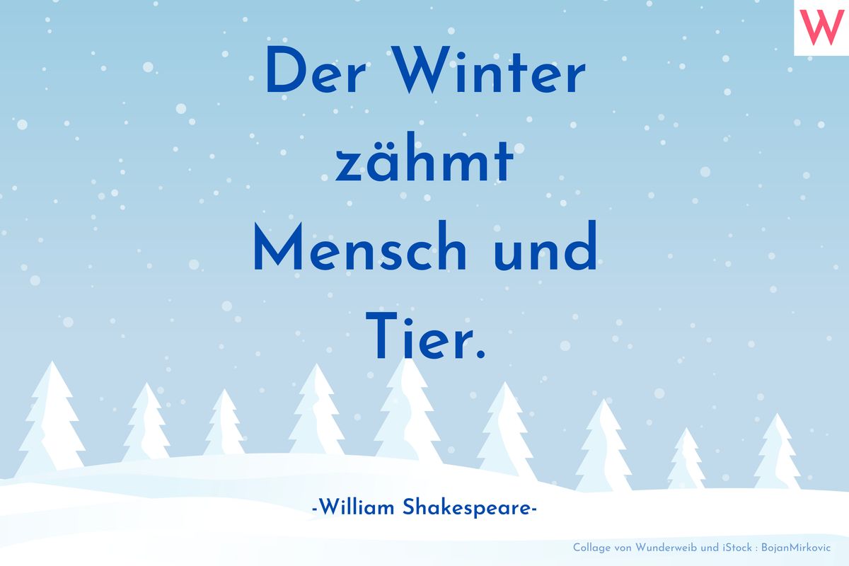 Der Winter zähmt Mensch und Tier. (William Shakespeare)