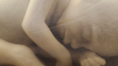 So sieht ein Baby in der 14. Schwangerschaftswoche aus. - Foto: iStock