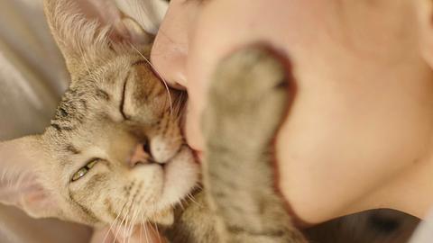 So zeigst du deiner Katze, dass du sie liebst! - Foto: terawat/istock