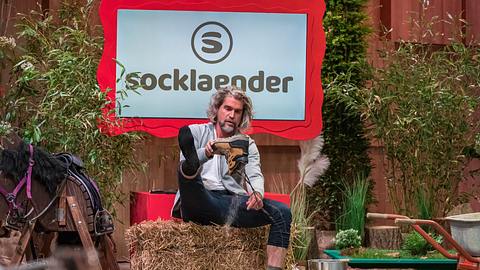 socklaender aus Die Höhle der Löwen - Foto: RTL/Bernd-Michael Maurer