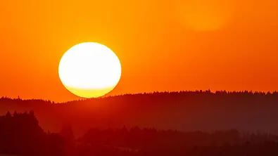 Sonnenuntergang über einem Wald. - Foto: Imago/Jan Eifert Sonnenuntergang über einem Wald. - Foto: Imago/Jan Eifert