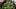 Spinat und Pilze in einer Pfanne - Foto: MSPhotographic/iStock