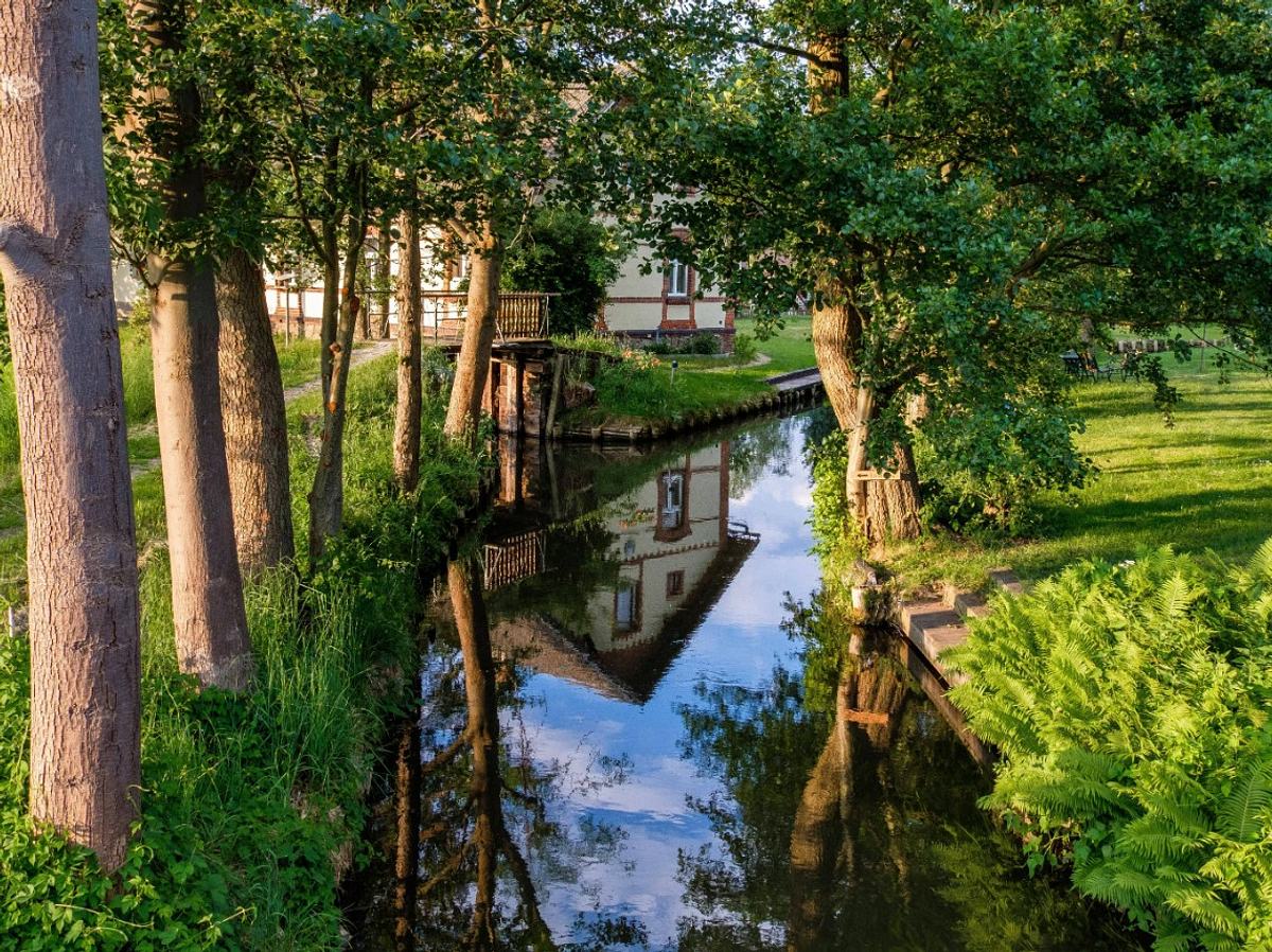 Im Spreewald kann man eine Erkundungstour mit Boot machen.