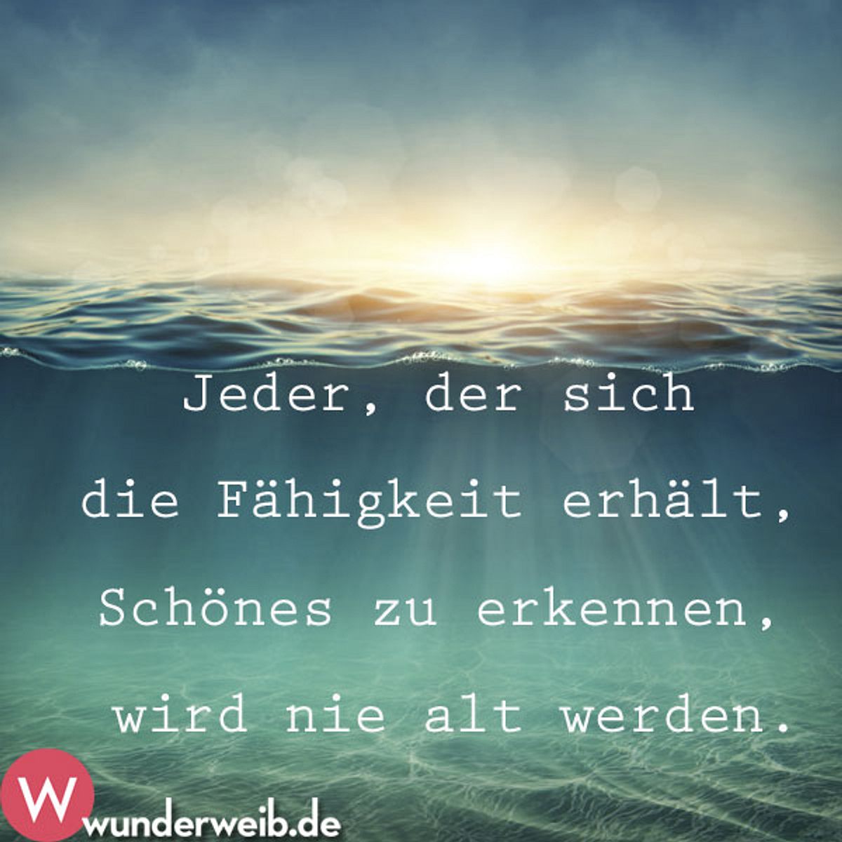 spruch 19 5 2015