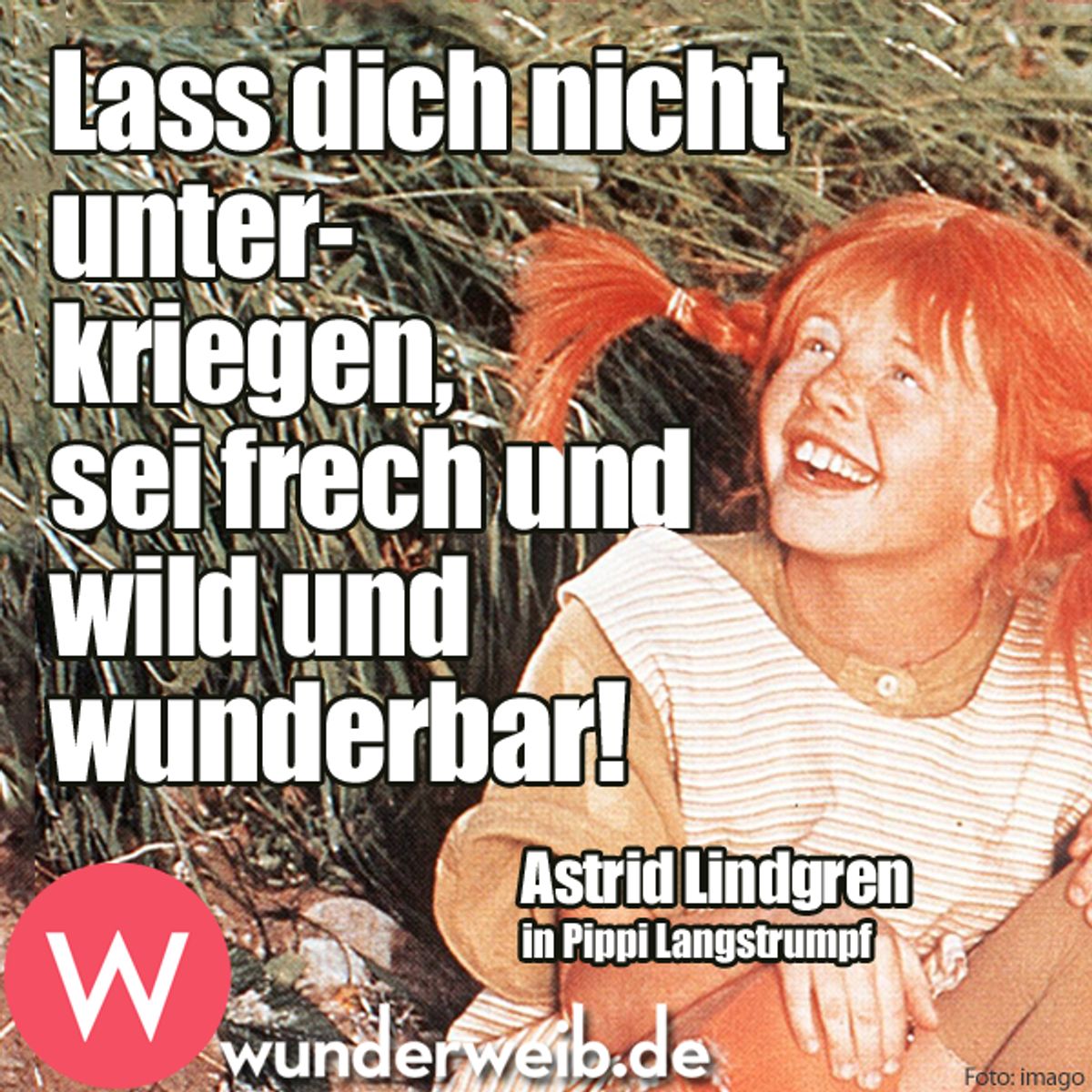 spruch des tages xx