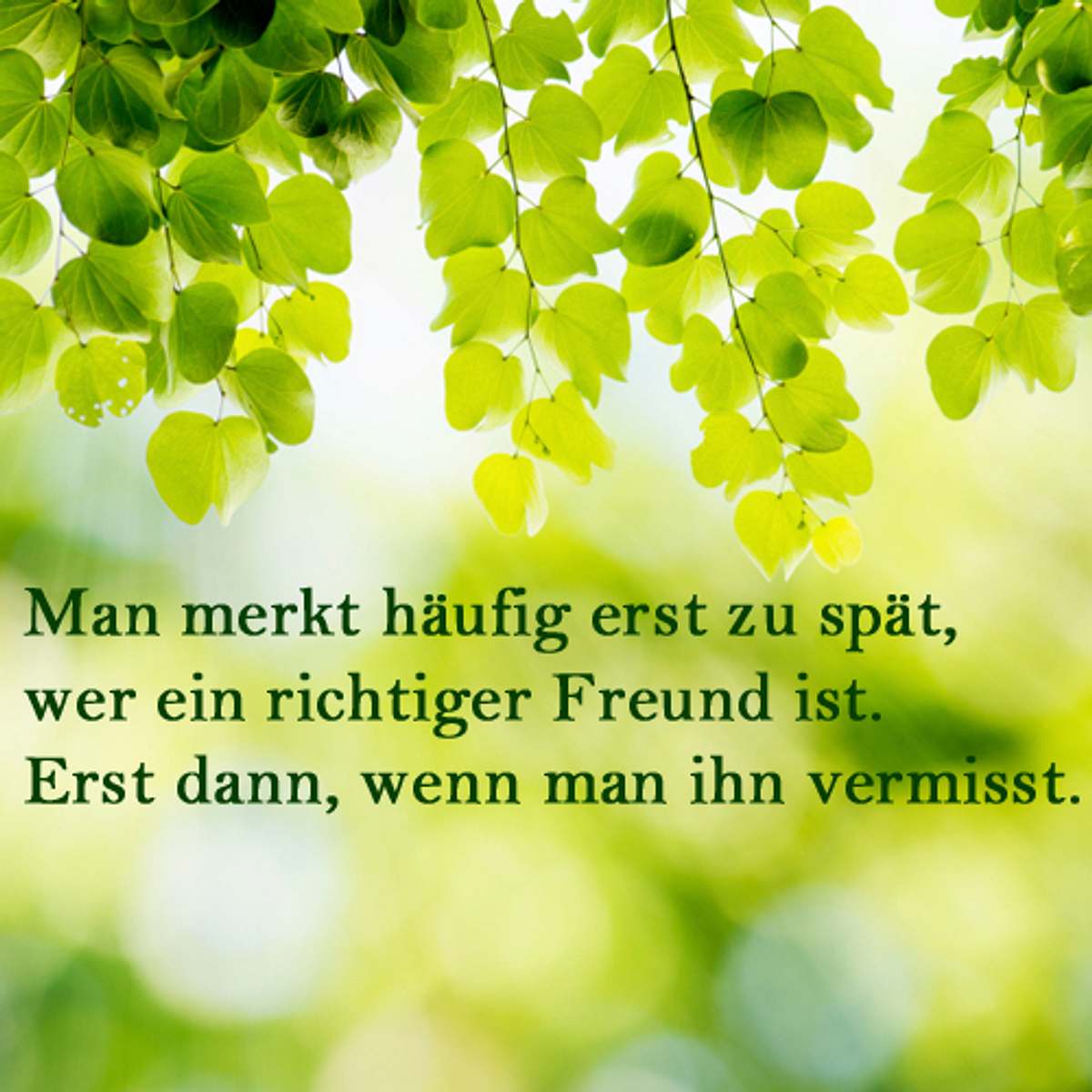 spruch des tages2014