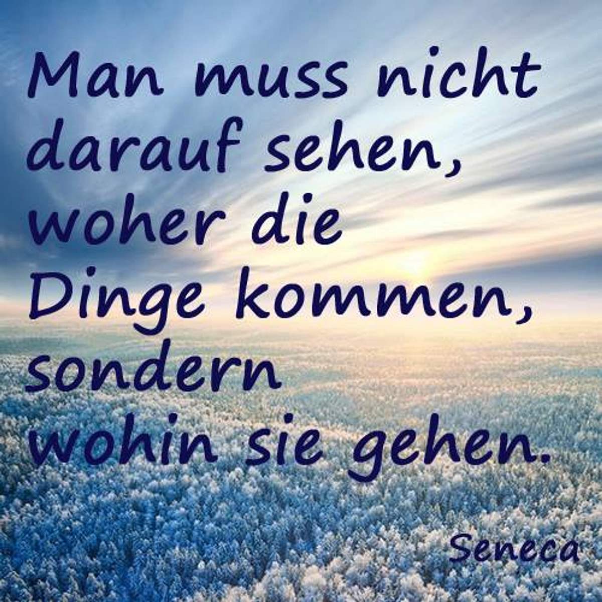 spruch des tages3