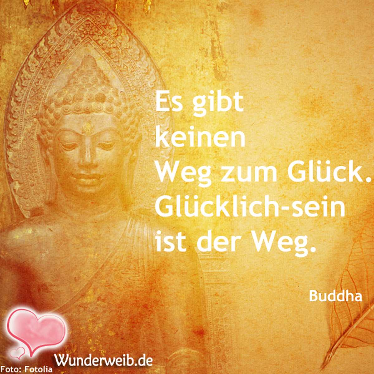 spruch des tages4 neu