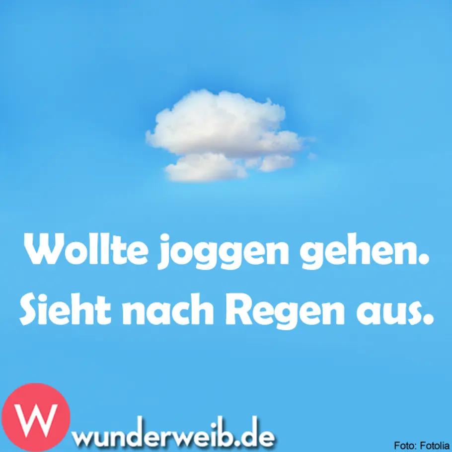 Spruch des Tages - lustige Sprüche für jede Gelegenheit spruch des tages4 neu