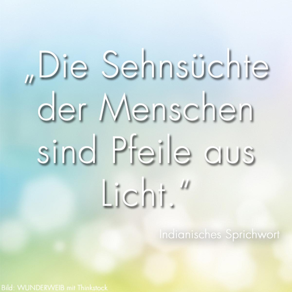 spruch des tages4