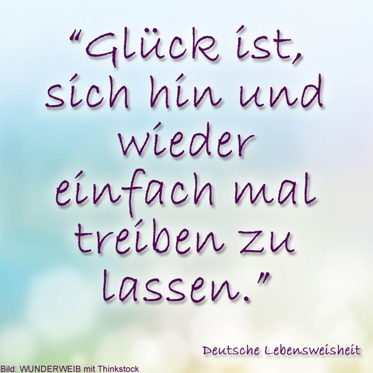 spruch des tages4