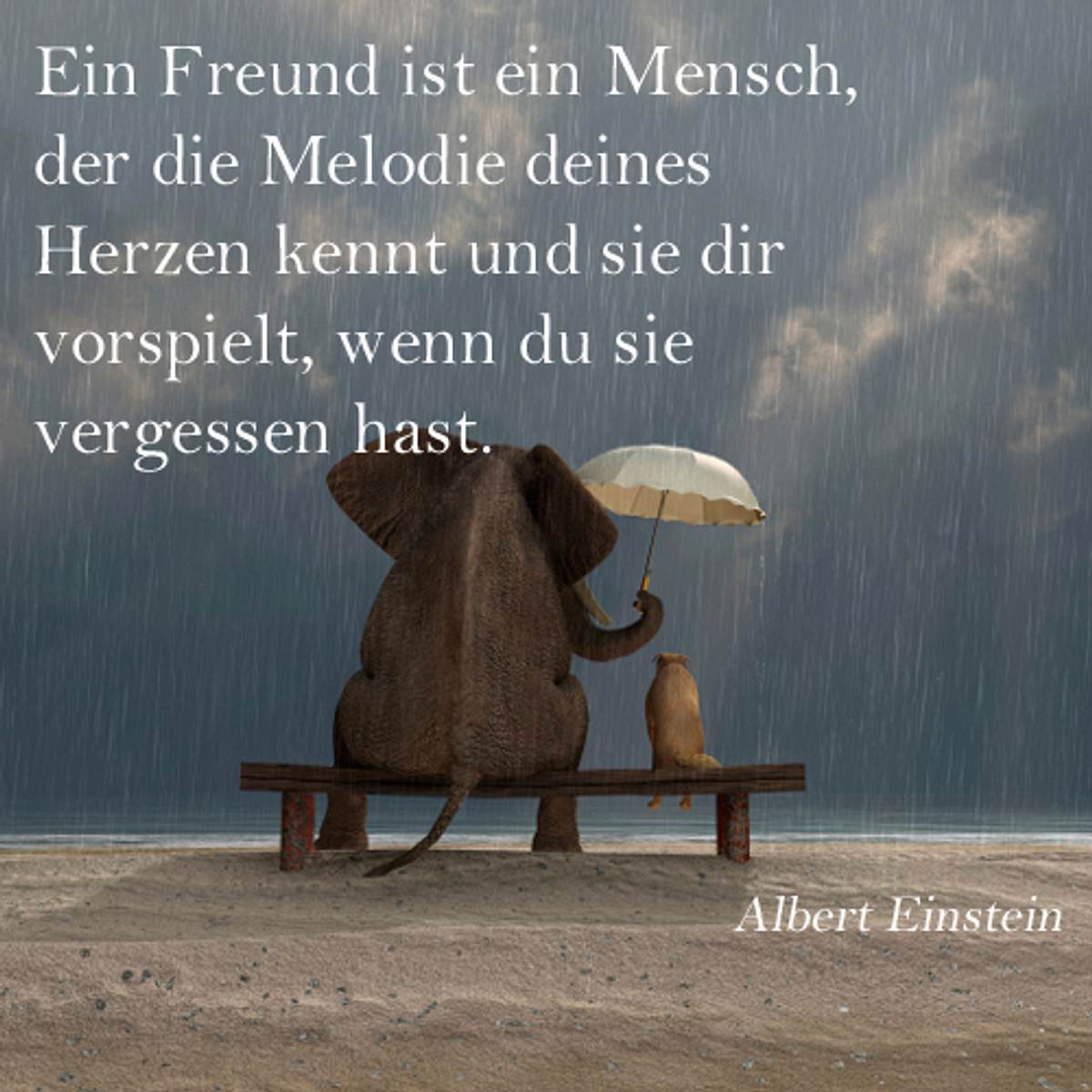 spruch des tages4