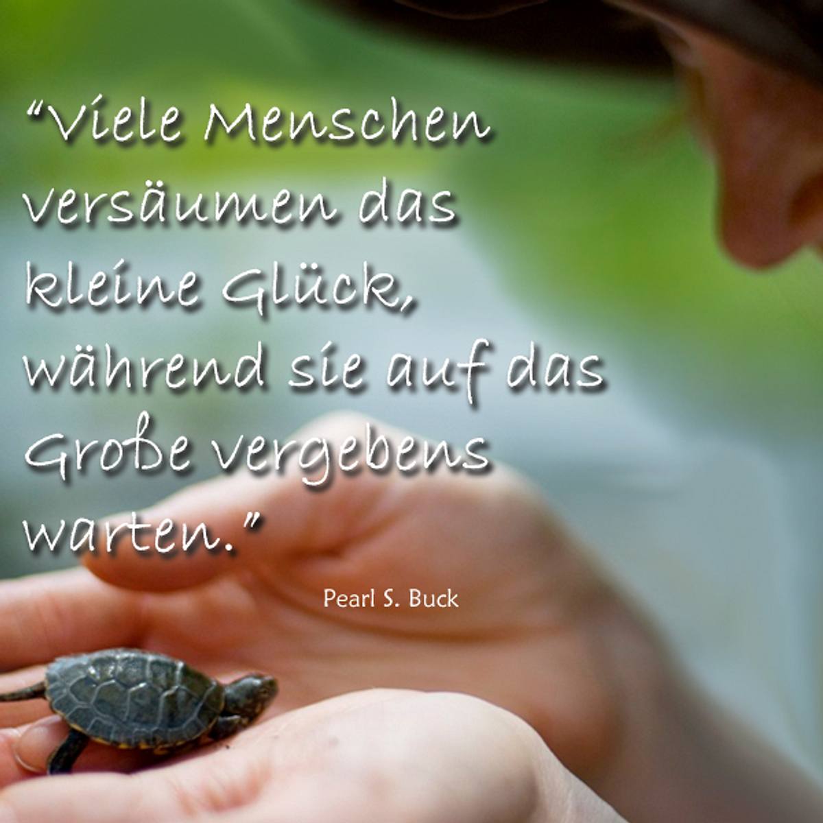 spruch des tages4