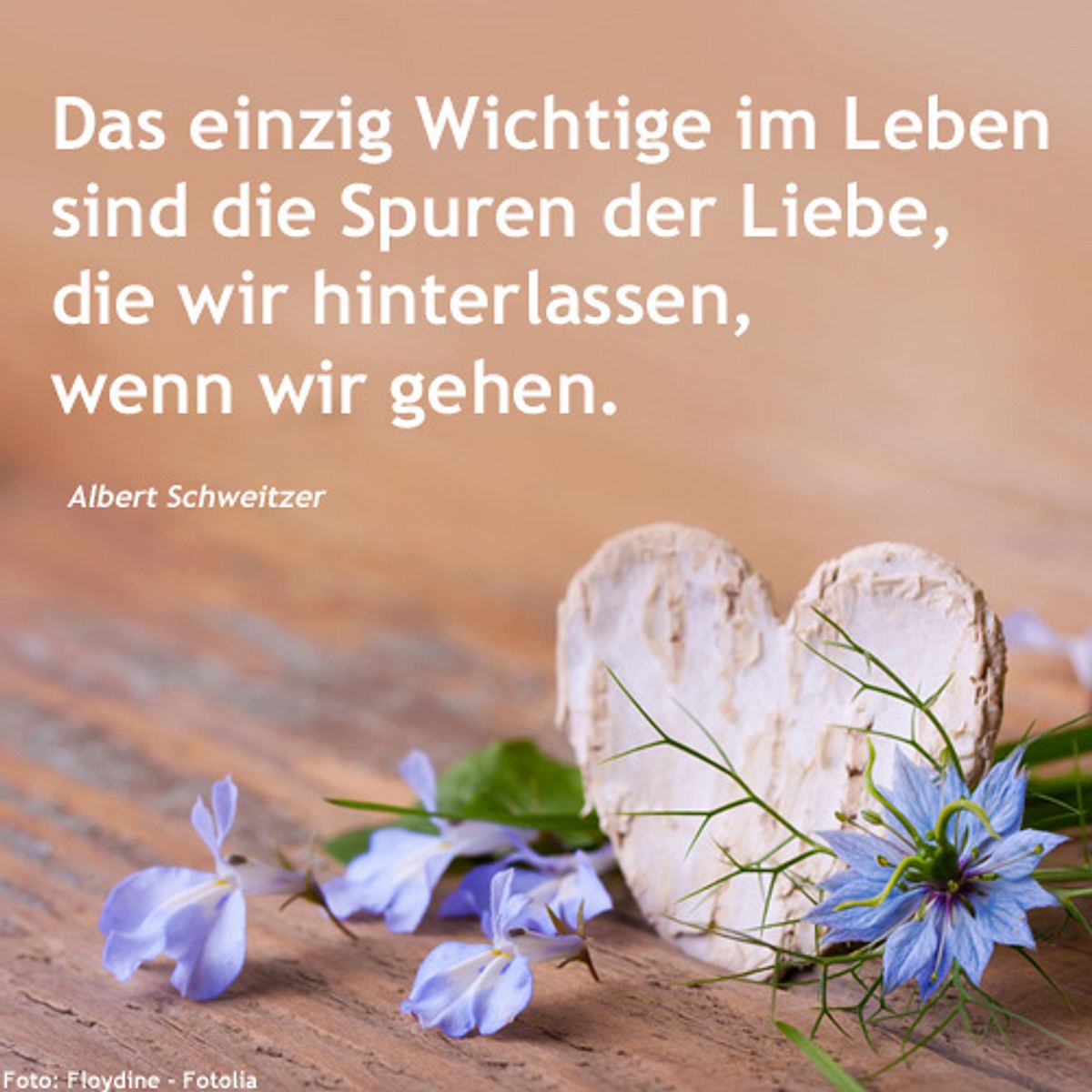 spruch des tages4