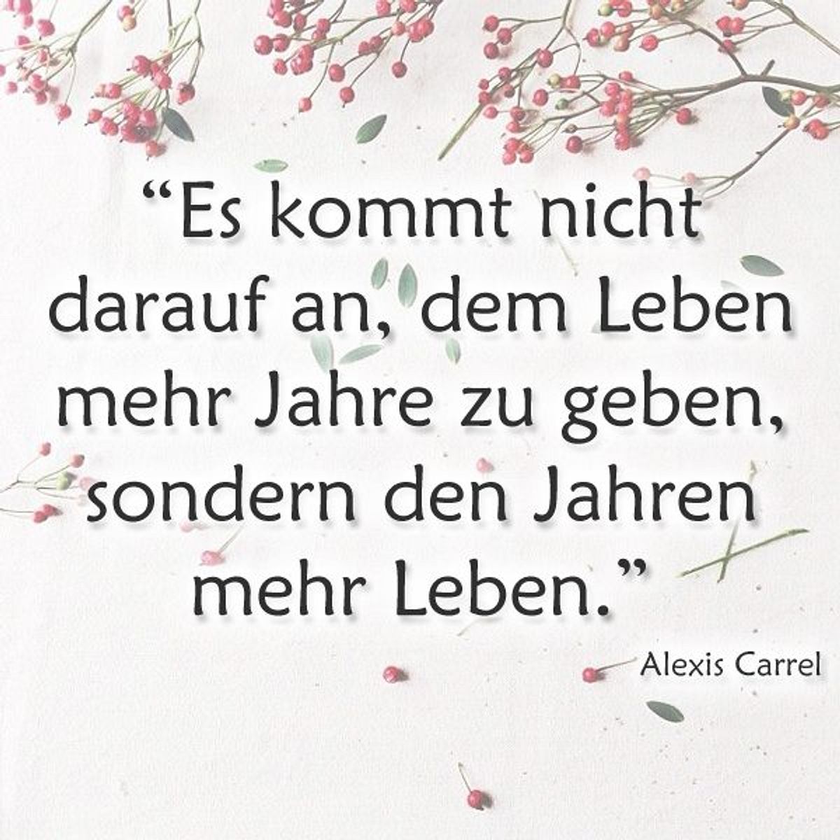 spruch des tages4