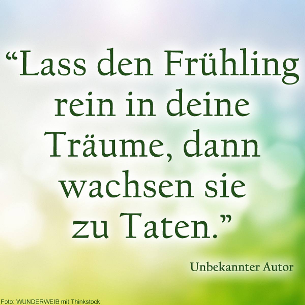 spruch des tages4