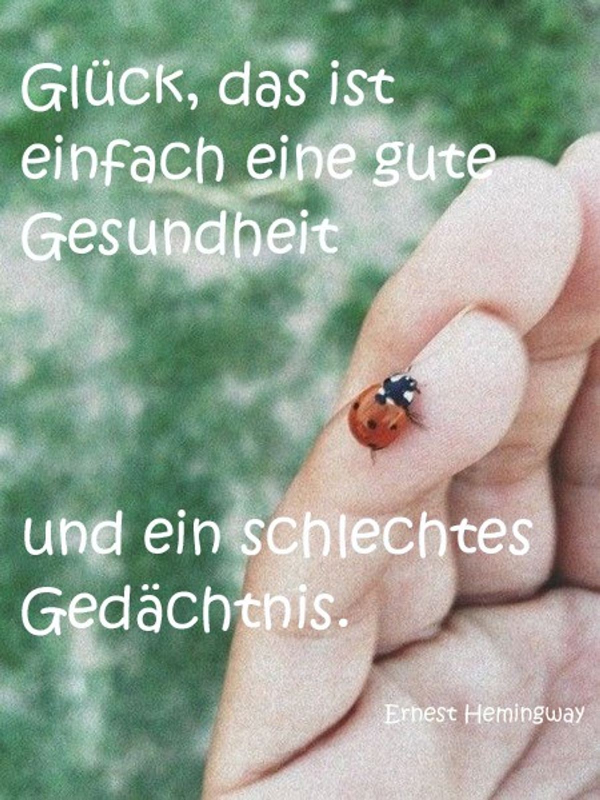 spruch des tages4