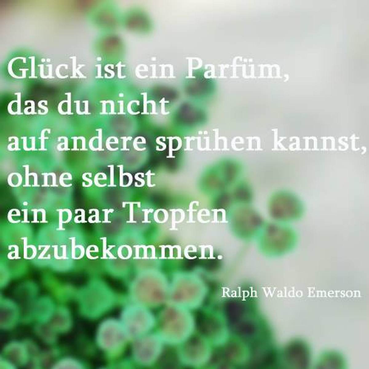 spruch des tages4