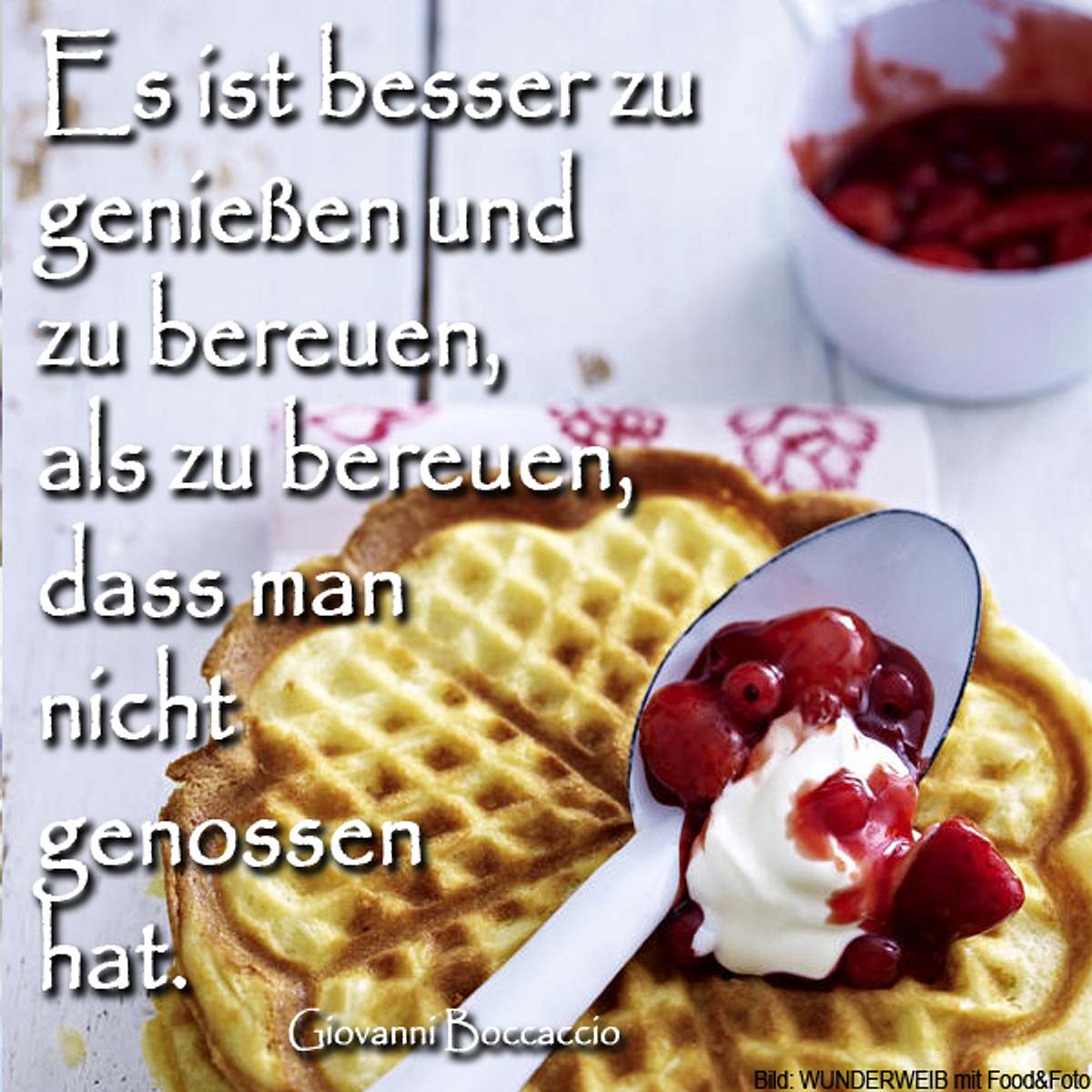 spruch des tages4