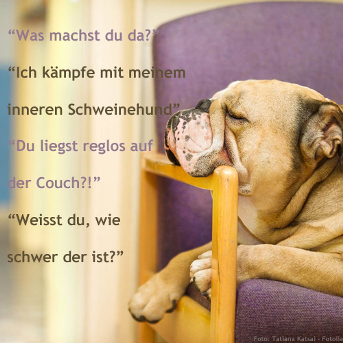 spruch des tages4